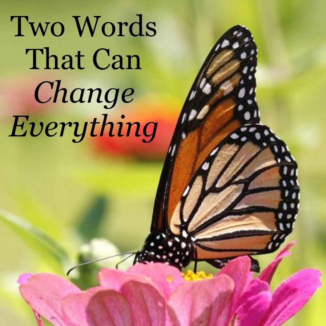 Magic Words That Can Change Everything